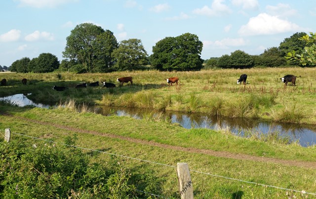 Afbeelding Naoberpad