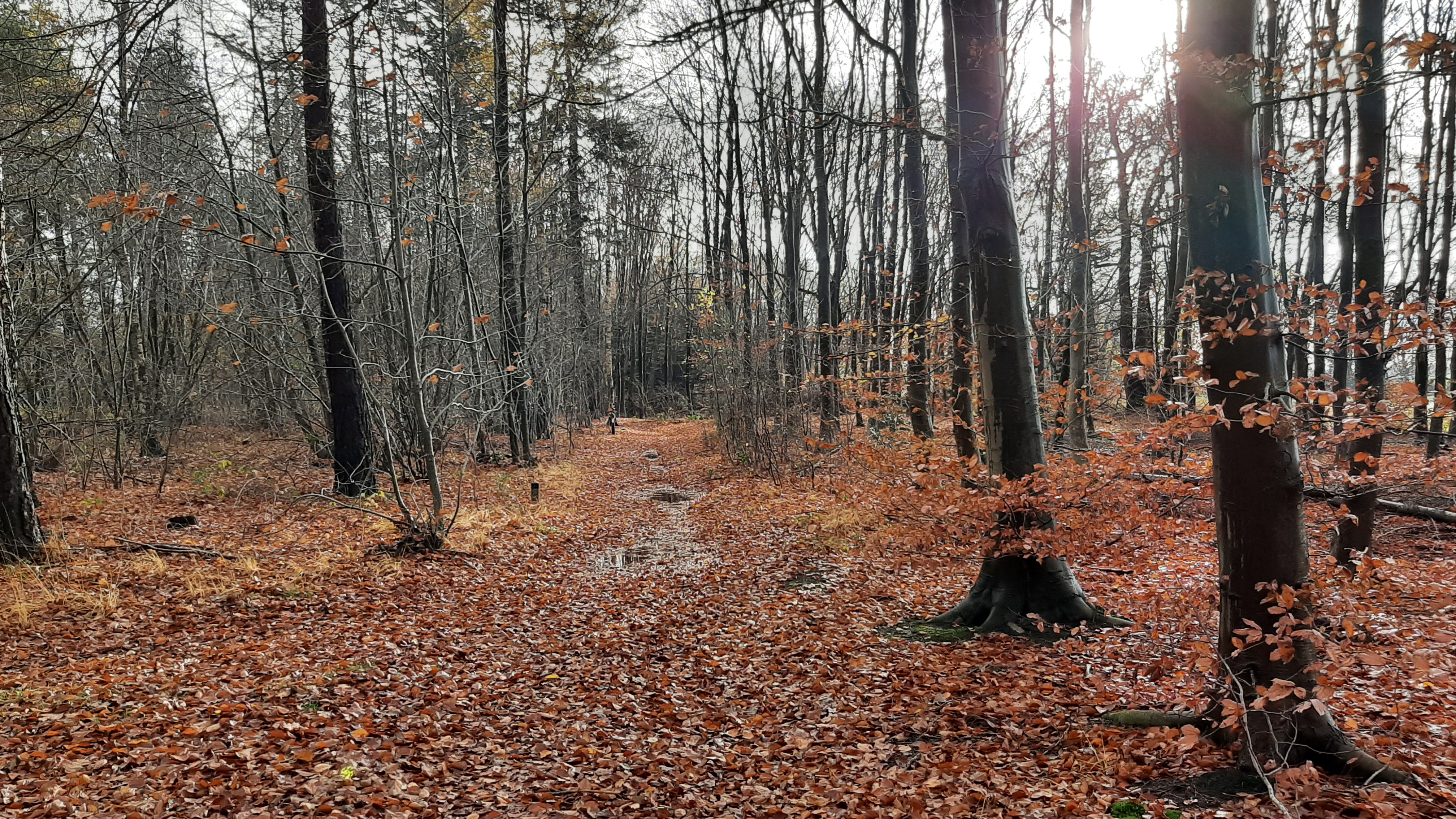 Op de route van de Warandeloop in Tilburg 