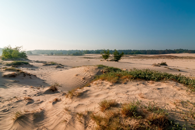Dit Zijn De Mooiste Duinwandelingen Van Nederland Tip 2 Nationaal Park Loonse En Drunense Duinen