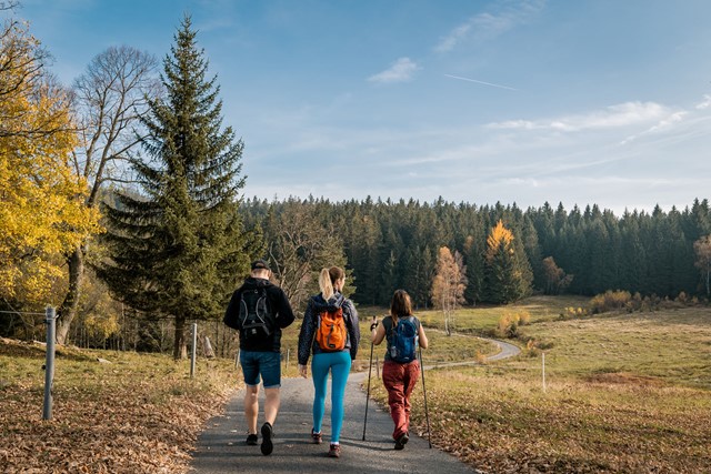afbeelding van wandelaars op de Tsjechische Goldsteig.