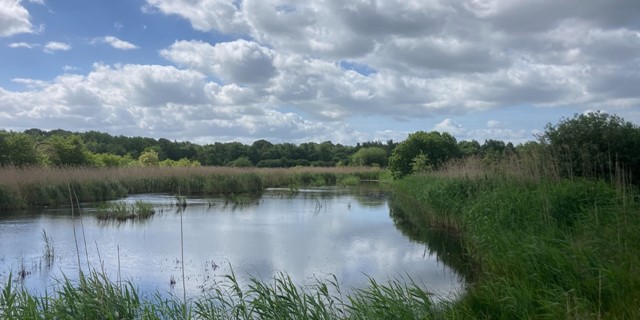 De Mooiste Wandelroutes Groningen Boswachterspad Groningen Holle Beetse