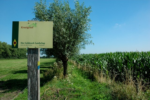 Natuurontwikkelingsproject de Kraaigraaf