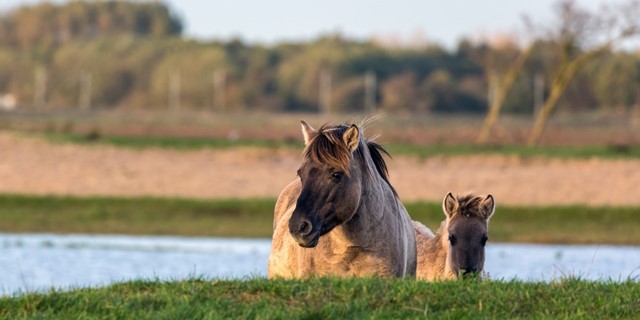 Wandelen Langs Het Water 10 Tips Pionierspad Law 1 2 Alle Etappes Podcasts En Meer
