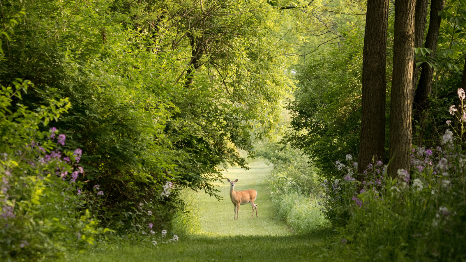 Trage Tocht Varssel Landgoed Zelle