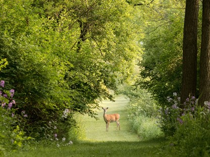 Trage Tocht Varssel Landgoed Zelle