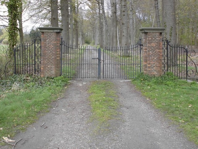 Afbeelding 3 | Wandelroutes Op De Utrechtse Heuvelrug 10 Leuke Tips