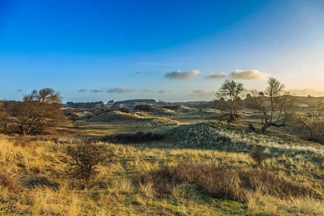 Nationaal Park Zuid-Kennemerland