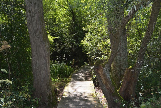 Afbeelding 4 |  Wandelroutes in Noord-Brabant