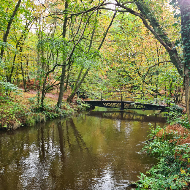 Wandelroute langs water en bos in natuurgebied Het Leudal
