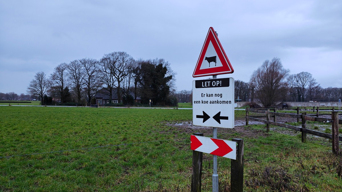 afbeelding van een waarschuwingsbordje: "Let op! Er kan nog een koe aankomen."