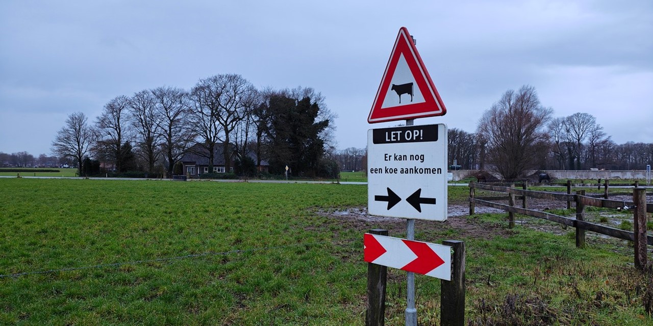 afbeelding van een waarschuwingsbordje: "Let op! Er kan nog een koe aankomen."
