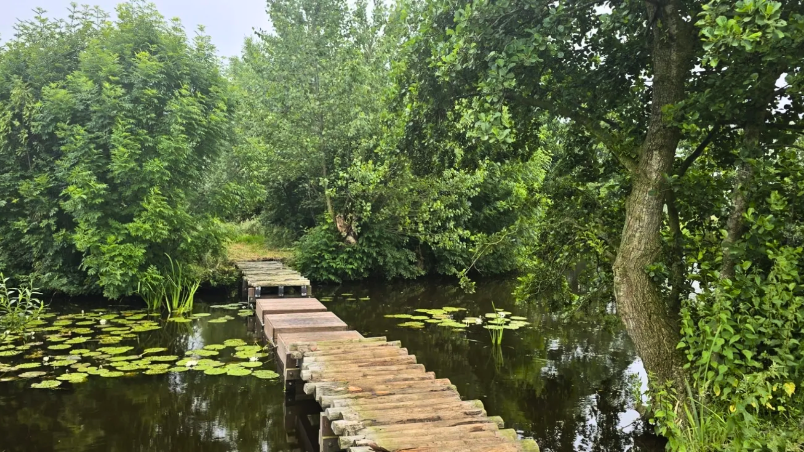 Blotevoetenpad Kamerik 'T Groene Hart (Buitenplaats Kameryck)