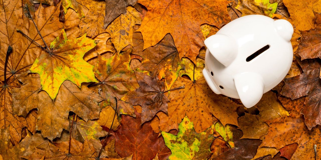 afbeelding van een spaarpot op blaadjes van de bomen.