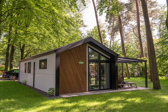 Naar het bos drie ontspannen wandeluitjes; chalet op de Utrechtse Heuvelrug