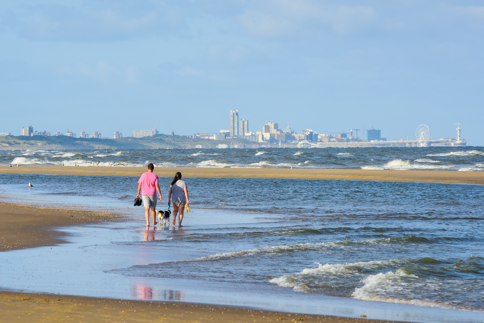 wandelaars op het strand van Scheveningen met een hond.