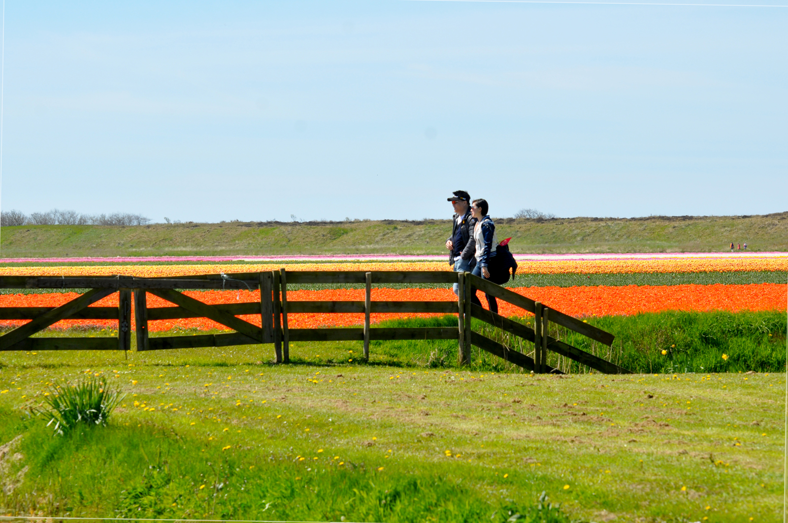 Lente wandelevenementen; Bloeiend Zijpe