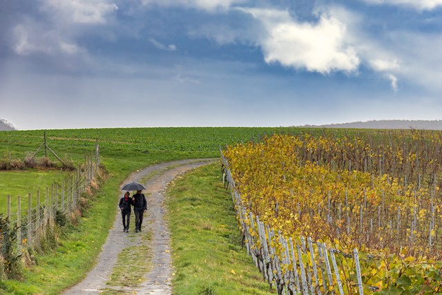 De 10 grootste valkuilen voor beginnende wandelaars, wandelen in de regen met paraplu.