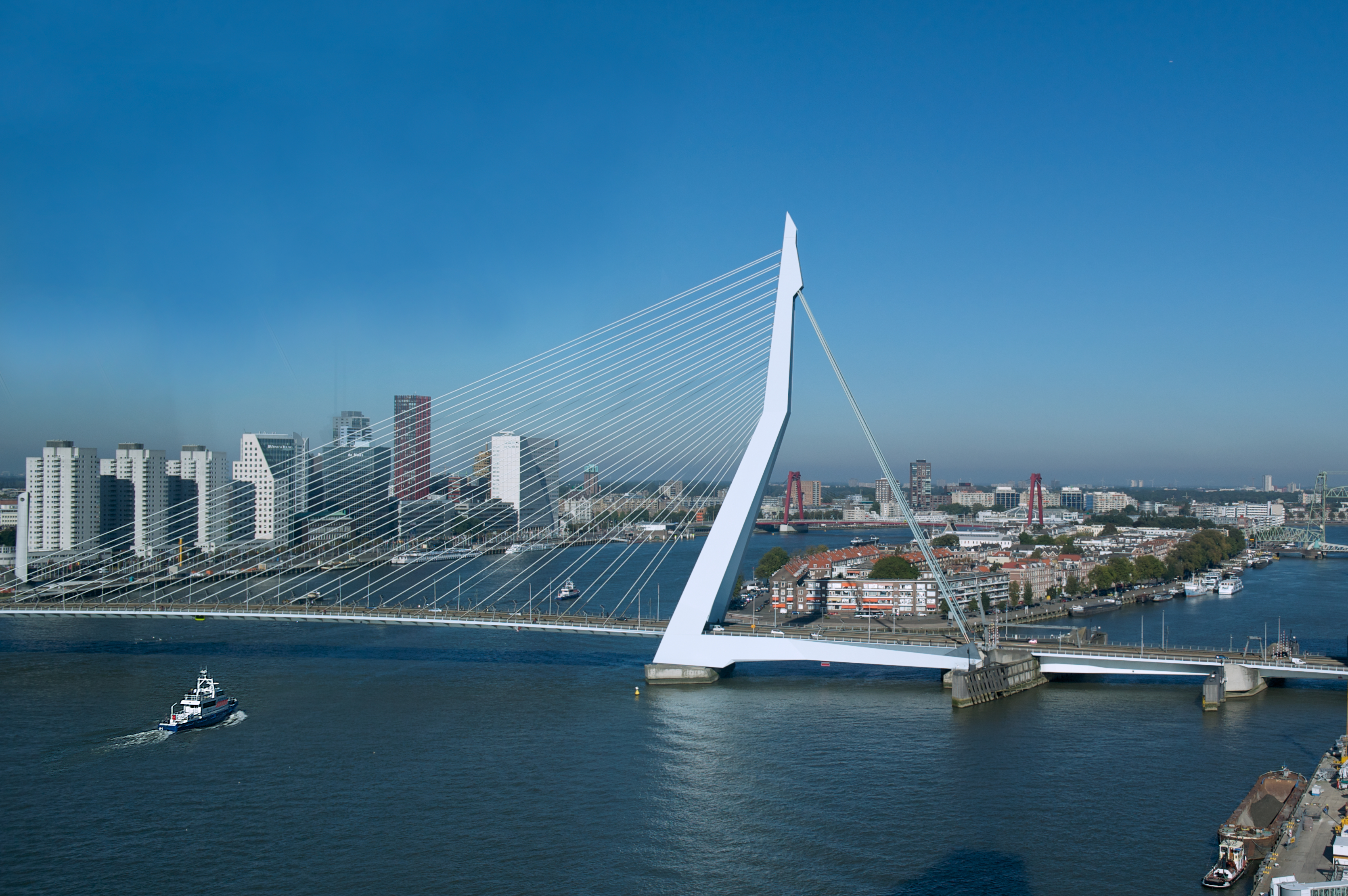 Erasmusbrug in Rotterdam
