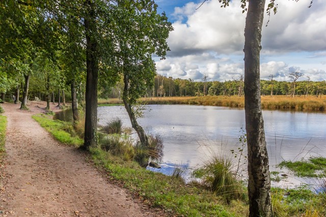 Wandelvakanties in Nederland: Drenthe, Appelbergen