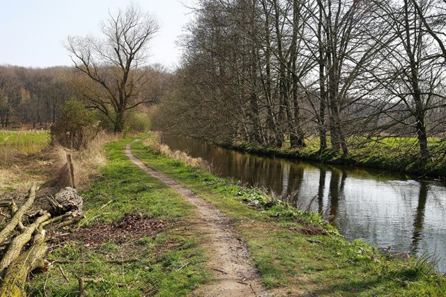 afbeelding van een wandelpaadje langs een sloot in Schwalm.