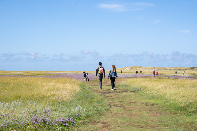 Overnachten Op Texel 3 Leuke Accommodaties (2)
