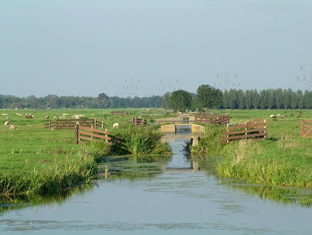 Polderlandschap 't Beijersche