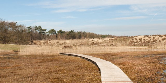Wandelroutes In Noord Holland Spanderwoud Zanderij Crailo