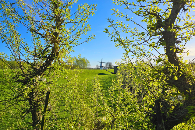 Wandelroute Door De Betuwe De Bloesemroute: Molen Geldermalsen