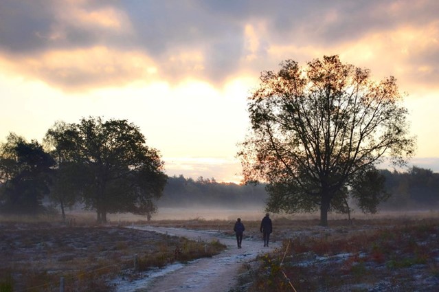 Herfstwandeling in Overasselt, foto: Marion Kik