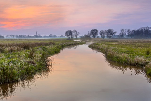 De Regge