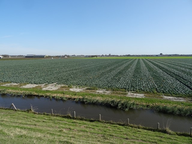 Omgeving van Eenigenburg