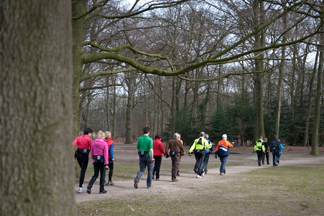 afbeelding van een groep wandelaars in het bos.