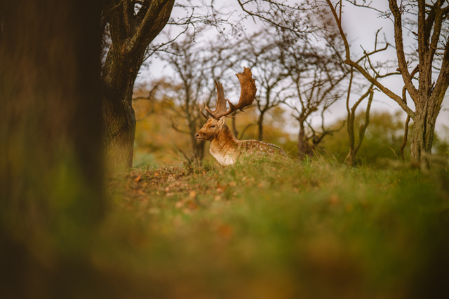 Energie Uit De Elementen (1)