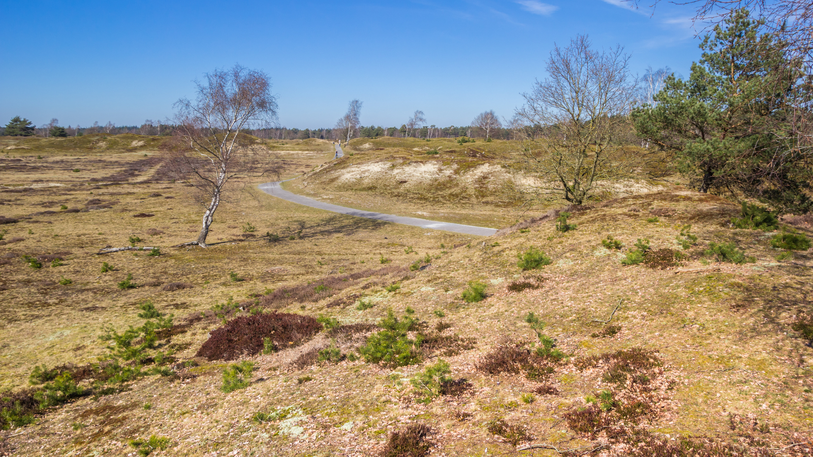 Wandelroute Drenthe Familiepad Drents Friese Wold