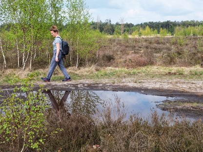 vrouw wandelt door heide naast een waterplas