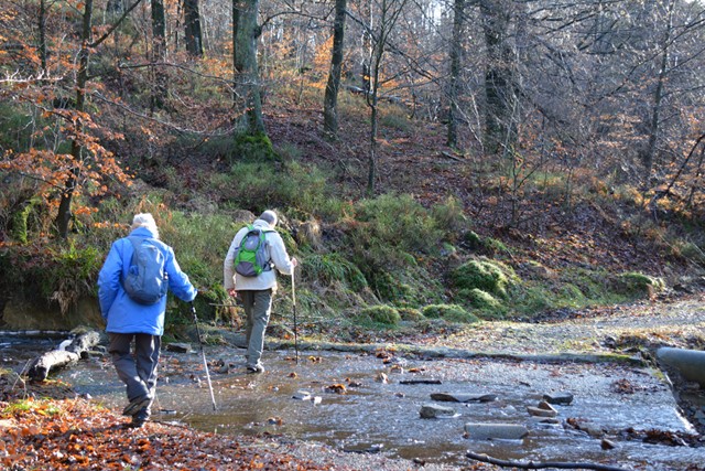 Venntrilogie Belgie; wandelen langs beekjes