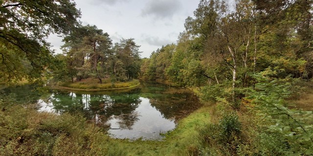 10 Wandelroutes Op De Utrechtse Heuvelrug Wandelroute Bornia Heidestein Heide Stuifzand