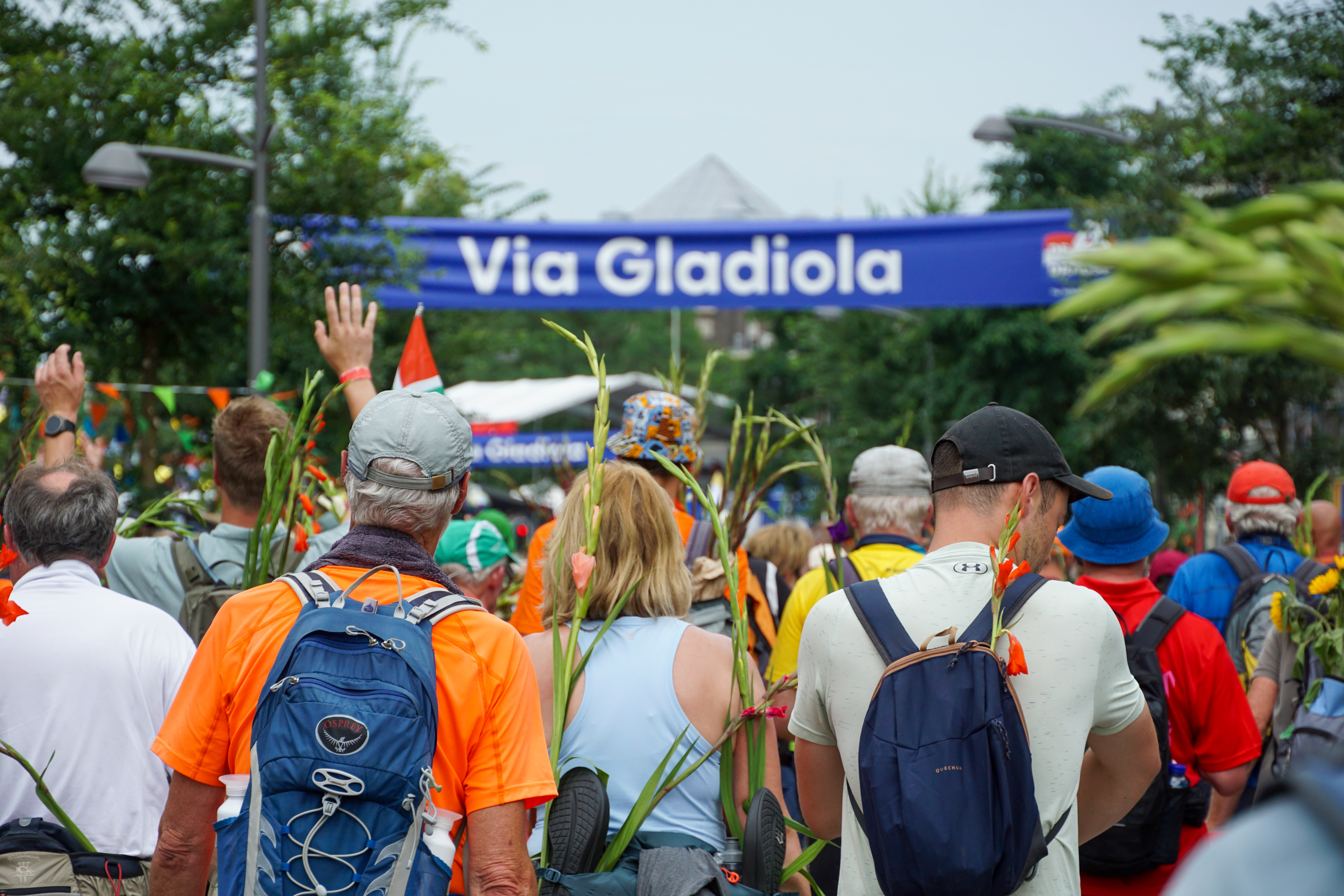 20240719 4DAAGSE Nijmegen FW 40