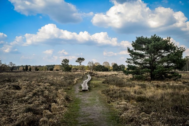 Wandelroutes In Twente 10 Tips Routetip 5 6 Uur Rutbeek Buurserzand Siberië