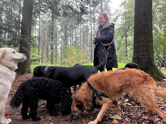 Anne op pad met haar honden 
