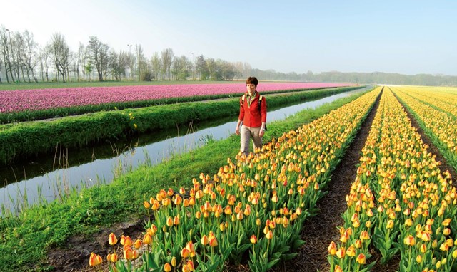 Landgoed Keukenhof