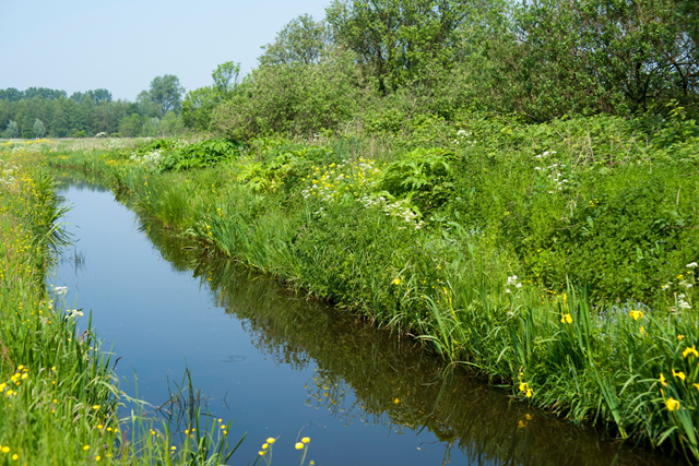 Groene Hartpad Etappe 11 Woerdense Verlaat – Woerden Grecht