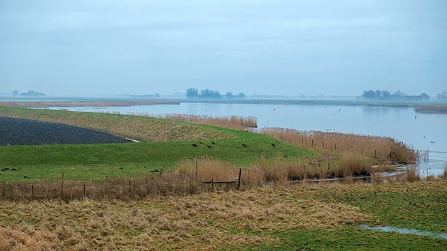 Het Reitdiep 