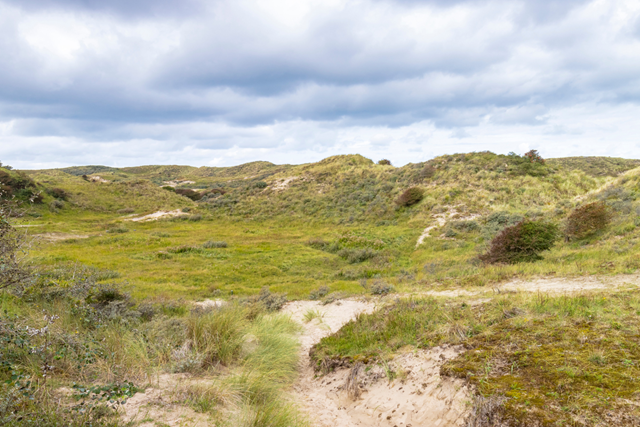 Dit Zijn De Mooiste Duinwandelingen Van Nederland Tip 1 Nationaal Park Hollandse Duinen