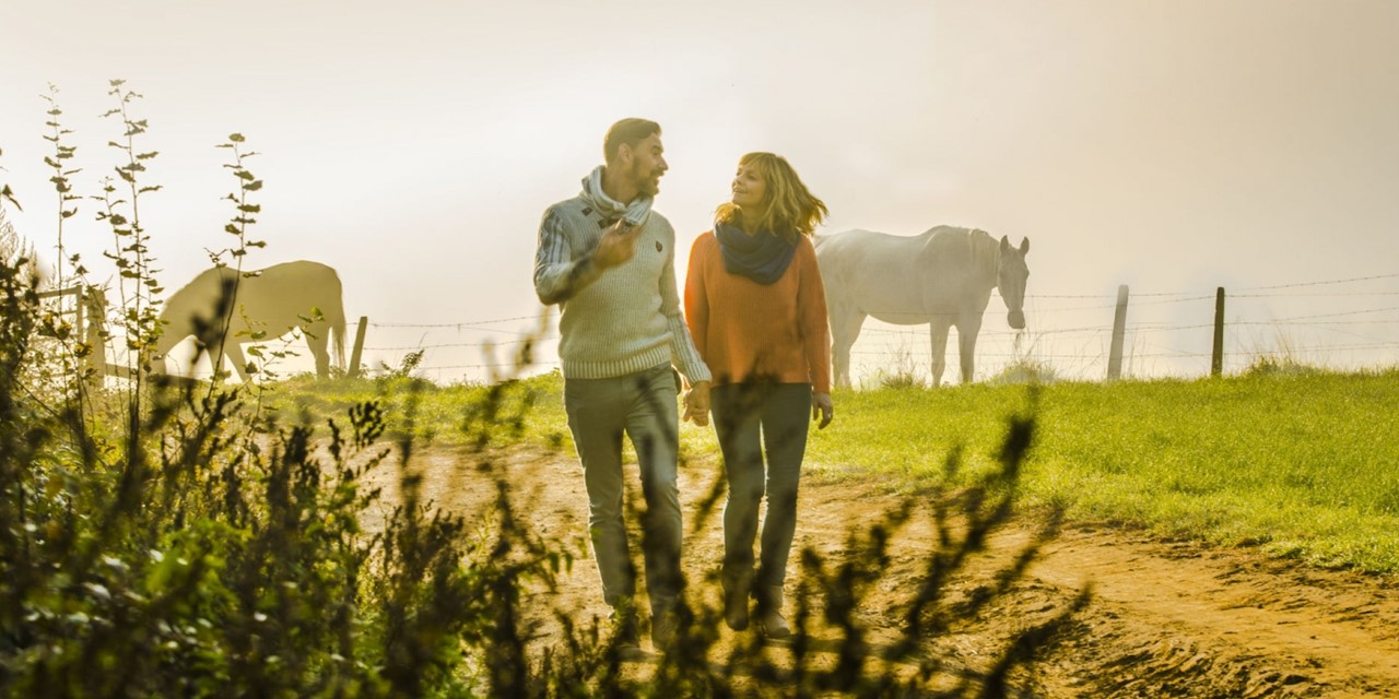 Wandelen op onverhard pad met paarden en zon in de achtergrond
