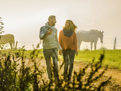 Wandelen op onverhard pad met paarden en zon in de achtergrond
