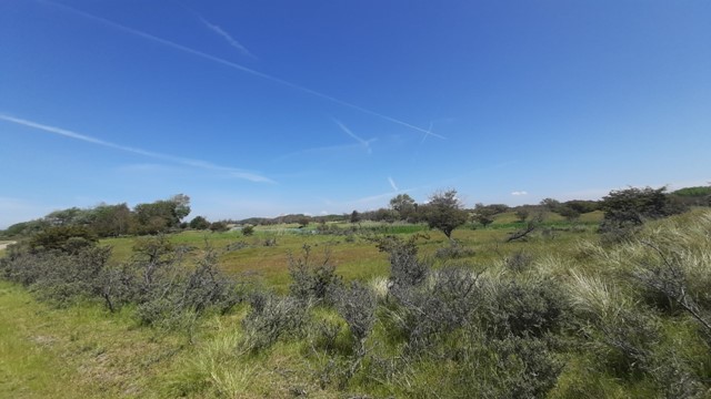 De Amsterdamse Waterleidingduinen, foto: Saskia van den Brand