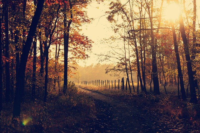 Maak van je herfstwandeling een miniavontuur