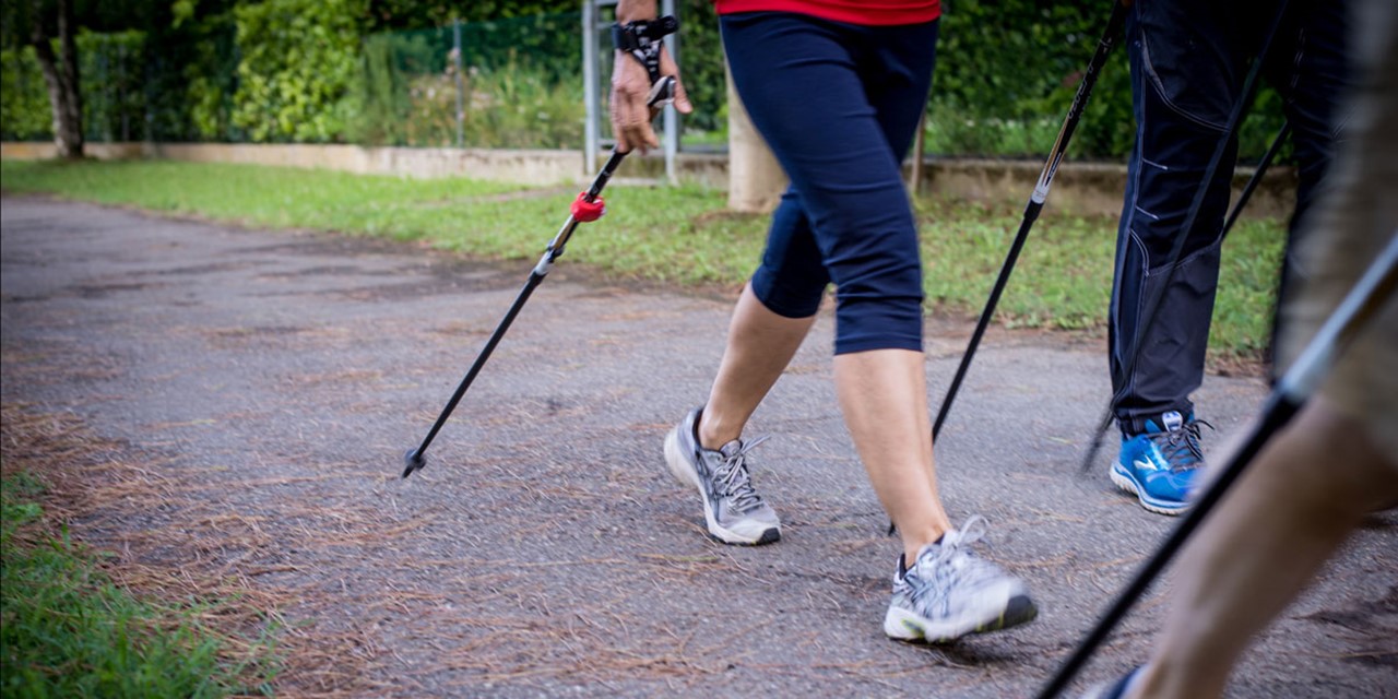 Kooptips Nordic Walking Stokken