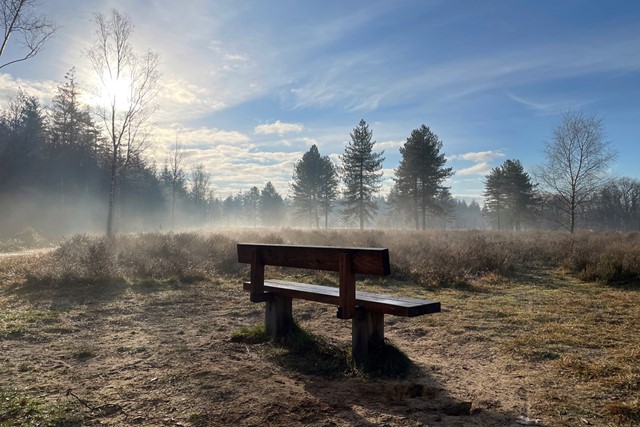 afbeelding van een wandelbankje op de Stroese heide.